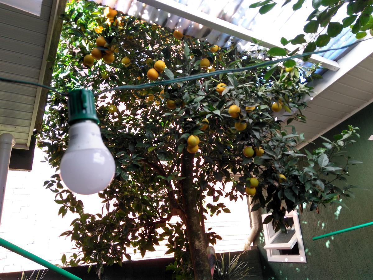 Hospedagem Da Laranjeira גראמדו מראה חיצוני תמונה